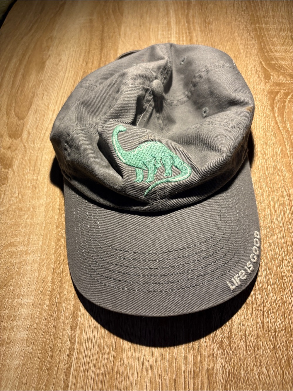 Life Is Good Kids Gray Cap with Mint Green Dinosaur Patch